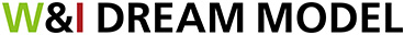 W&I DREAM MODEL