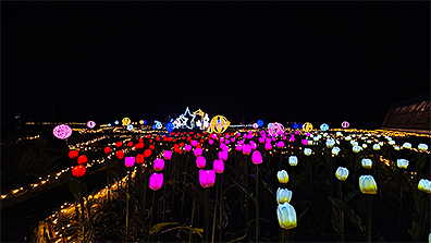 夜のランド内を照らすLEDイルミネーション 画像