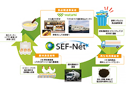 SEF-Net}